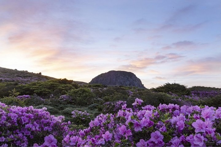 Airport Transit Tour in Jeju : Customizable Private Tour - Photo 1 of 25